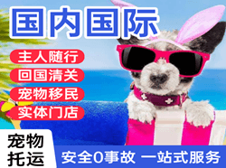 塔城千泉国际宠物托运 【国
